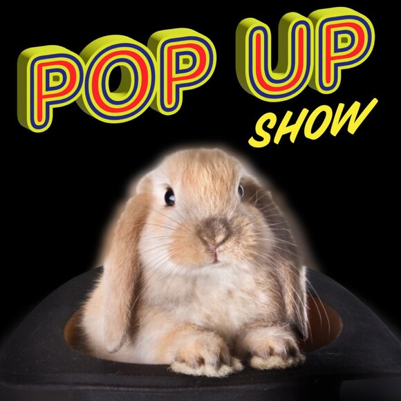 KCMO VINTAGE IS LIVE!!! ❤️😻❤️ - Picture 3 of 4